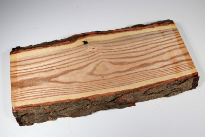 Brettabschnitt Geweihbaum 355x160x35mm - Gewe0111