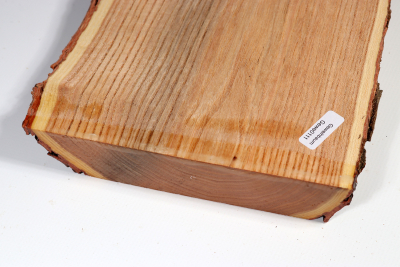 Brettabschnitt Geweihbaum 355x160x35mm - Gewe0111