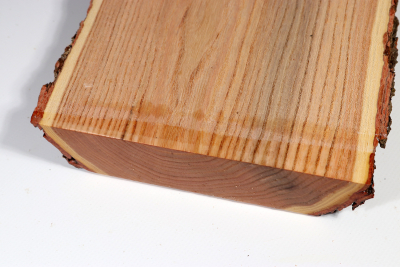 Brettabschnitt Geweihbaum 355x160x35mm - Gewe0111