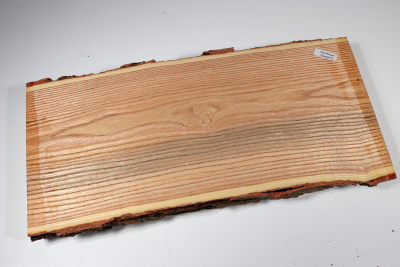 Brettabschnitt Geweihbaum 355x160x35mm - Gewe0111