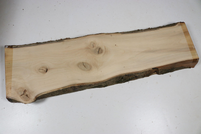 Brettabschnitt Stechpalme 345x125x30mm - Ilex0271