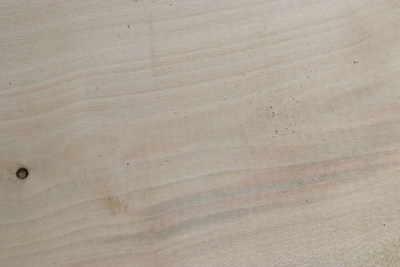 Brettabschnitt Stechpalme 345x125x30mm - Ilex0271