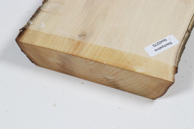 Brettabschnitt Stechpalme 345x125x30mm - Ilex0271