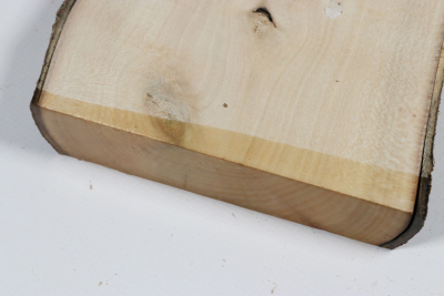 Brettabschnitt Stechpalme 345x125x30mm - Ilex0271