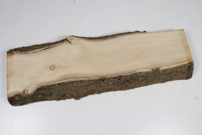 Brettabschnitt Stechpalme 350x110x30mm - Ilex0257