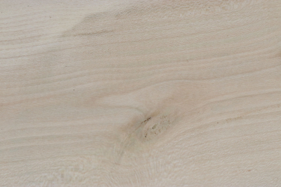 Brettabschnitt Stechpalme 350x110x30mm - Ilex0257