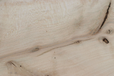 Board Holly 350x115x30mm - Ilex0268