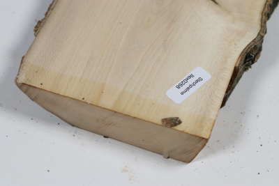 Board Holly 350x115x30mm - Ilex0268