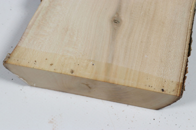 Board Holly 350x115x30mm - Ilex0268