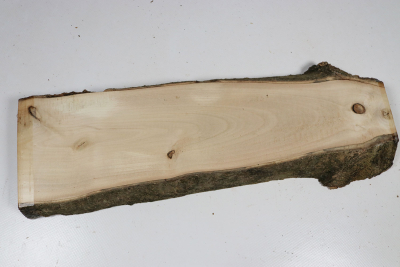 Brettabschnitt Stechpalme 355x100x30mm - Ilex0261