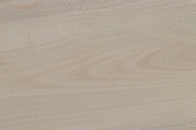 Brettabschnitt Stechpalme 355x100x30mm - Ilex0261