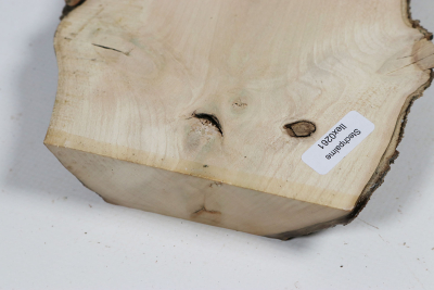 Brettabschnitt Stechpalme 355x100x30mm - Ilex0261