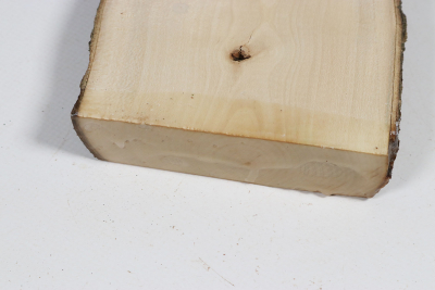 Brettabschnitt Stechpalme 355x100x30mm - Ilex0261