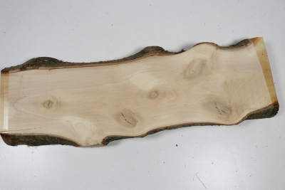 Brettabschnitt Stechpalme 365x115x27mm - Ilex0267