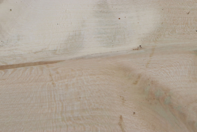 Brettabschnitt Stechpalme 365x115x27mm - Ilex0267