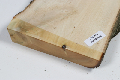 Brettabschnitt Stechpalme 365x115x27mm - Ilex0267