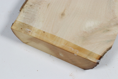 Brettabschnitt Stechpalme 365x115x27mm - Ilex0267