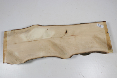 Brettabschnitt Stechpalme 365x115x27mm - Ilex0267