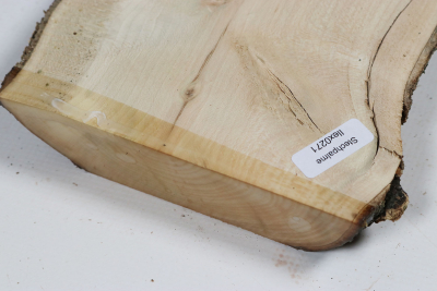 Board Holly 425x120x30mm - Ilex0270