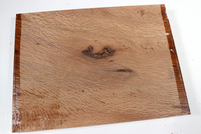 Holm Oak 285x220x42mm - SteiEi0399