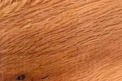 Holm Oak 285x220x42mm - SteiEi0399
