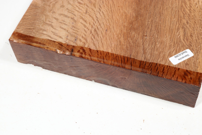 Holm Oak 285x220x42mm - SteiEi0399
