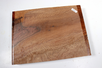 Holm Oak 285x220x42mm - SteiEi0399