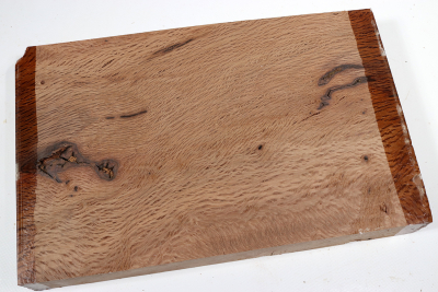 Holm Oak 290x185x38mm - SteiEi0405