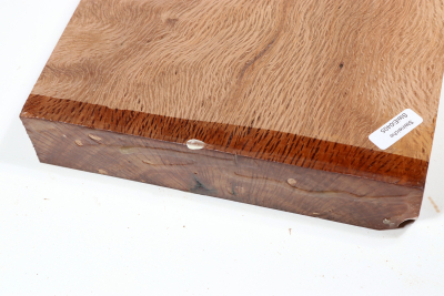Holm Oak 290x185x38mm - SteiEi0405