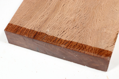 Holm Oak 290x185x38mm - SteiEi0405