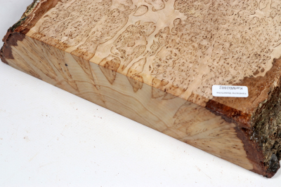 Board Karelian Masurbirch  160x260x55mm - KarMB2882
