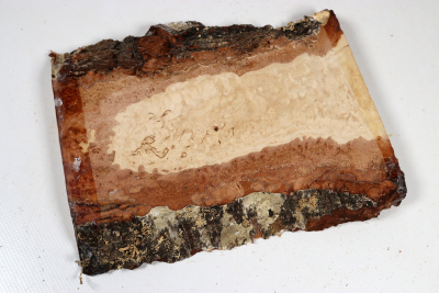Brettabschnitt karelische Maserbirke  190x120x23mm - KarMB2956
