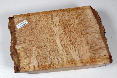 Brettabschnitt karelische Maserbirke  200x135x55mm - KarMB2944