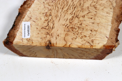 Board Karelian Masurbirch 240x120x27mm - KarMB2881