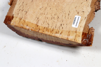 Board Karelian Masurbirch  265x130x35mm - KarMB2951