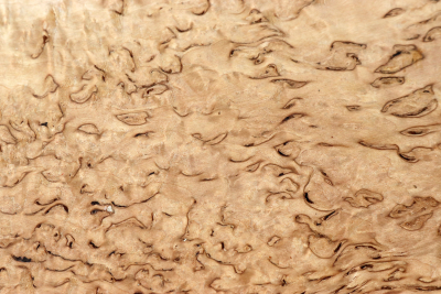 Board Karelian Masurbirch  265x265x35mm - KarMB2801