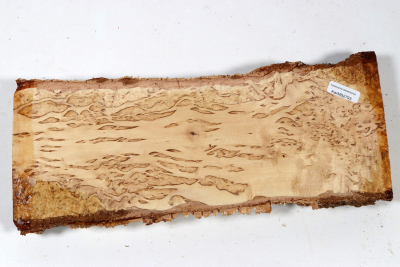 Brettabschnitt karelische Maserbirke 285x100x28mm - KarMB2793 Brettabschnitt karelische Maserbirke 285x100x28mm - KarMB2793