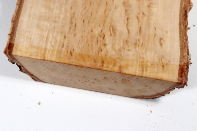 Board Karelian Masurbirch  310x140x36mm - KarMB2720