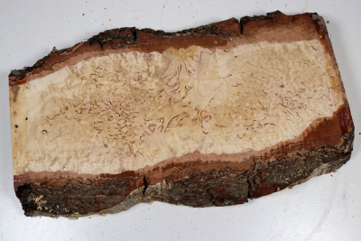 Board Karelian Masurbirch  320x160x32mm - KarMB2952