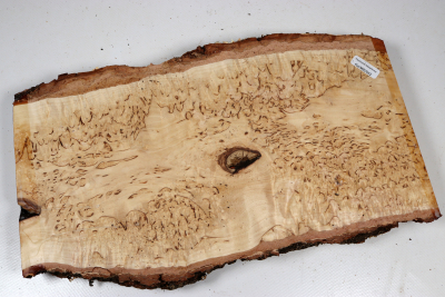 Board Karelian Masurbirch  320x160x32mm - KarMB2952