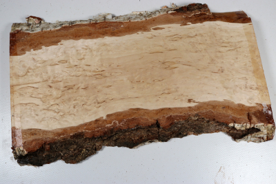 Brettabschnitt karelische Maserbirke  340x170x25mm - KarMB2973