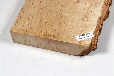 Board Karelian Masurbirch  350x125x28mm - KarMB2970
