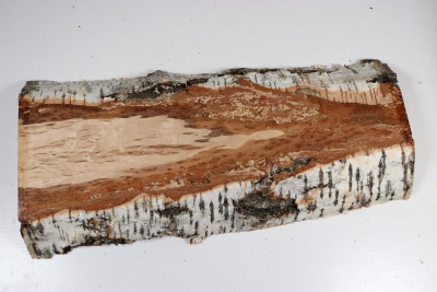 Board Karelian Masurbirch  350x140x34mm - KarMB2969