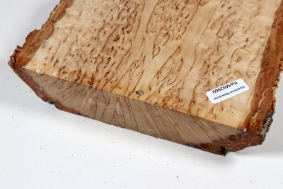 Board Karelian Masurbirch  350x140x34mm - KarMB2969