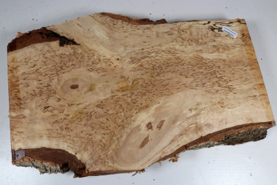 Board Karelian Masurbirch  360x220x42mm - KarMB2974