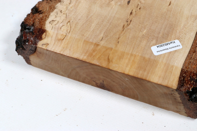 Brettabschnitt karelische Maserbirke  390x170x37mm - KarMB2804