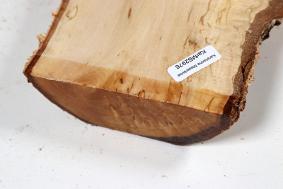 Board Karelian Masurbirch  400x150x37mm - KarMB2976