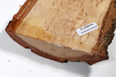 Board Karelian Masurbirch  410x110x35mm - KarMB2719