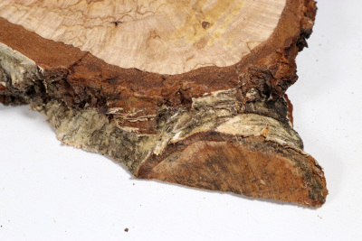 Brettabschnitt karelische Maserbirke  440x180x36mm - KarMB2849