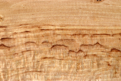 Brettabschnitt karelische Maserbirke  445x160x33mm - KarMB2802